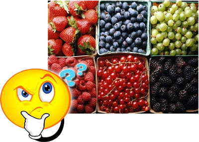 Что такое ягода?