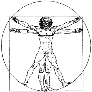 Пропорции человеческого тела. Рисунок Леонардо да Винчи