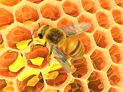 Пчелы делают мед